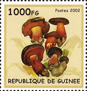 Briefmarke