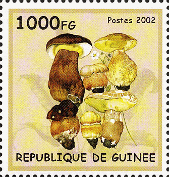 Briefmarke