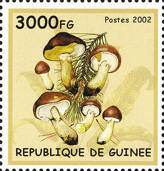 Briefmarke