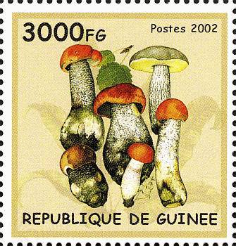Briefmarke