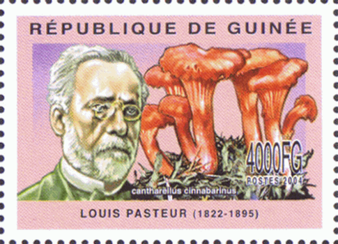 Briefmarke