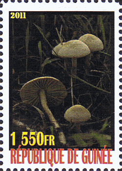 Briefmarke