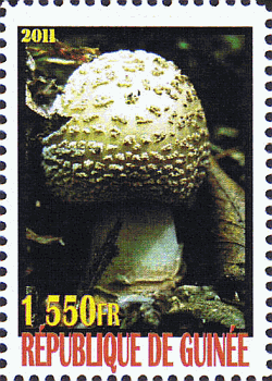 Briefmarke