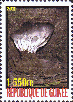 Briefmarke