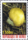 Briefmarke