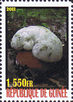 Briefmarke