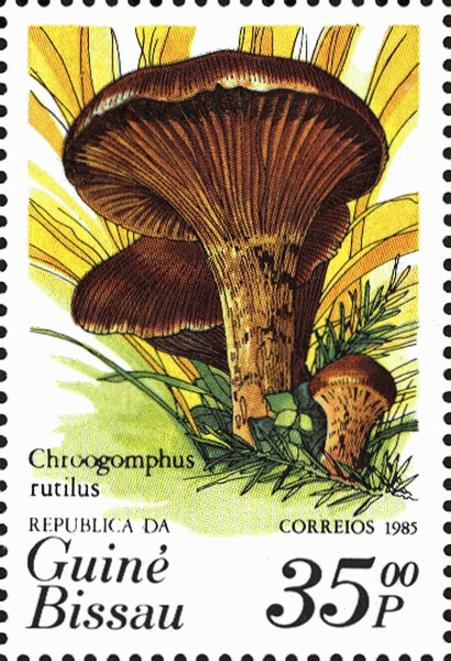Briefmarke