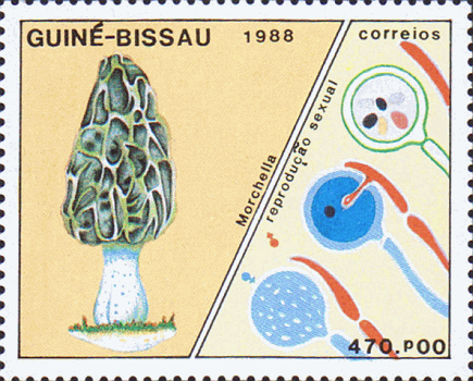 Briefmarke