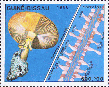 Briefmarke