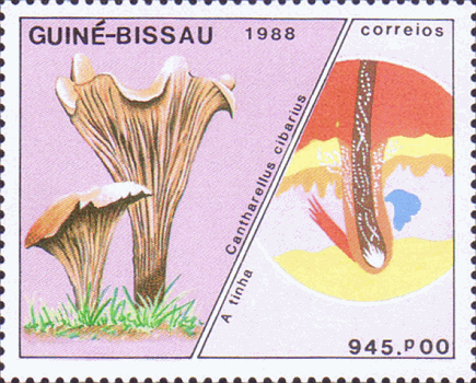 Briefmarke
