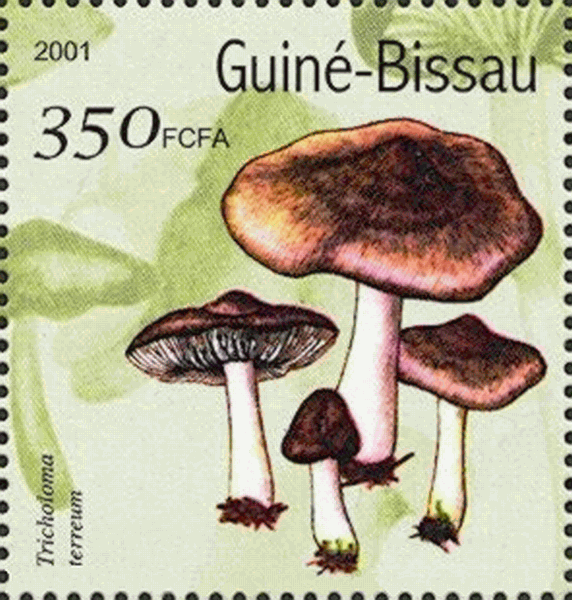 Briefmarke