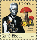 Briefmarke