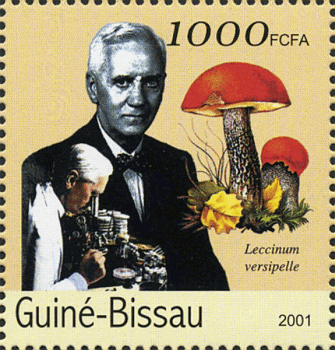 Briefmarke