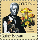 Briefmarke