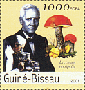 Briefmarke