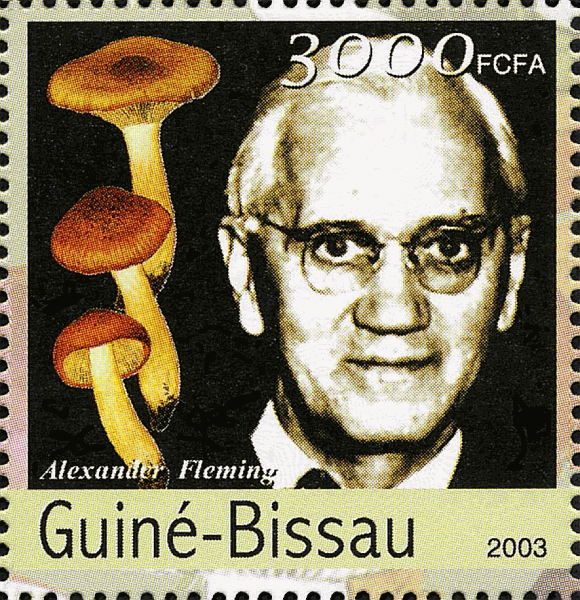 Briefmarke