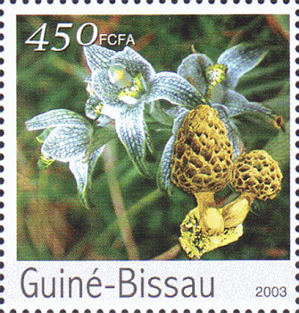 Briefmarke