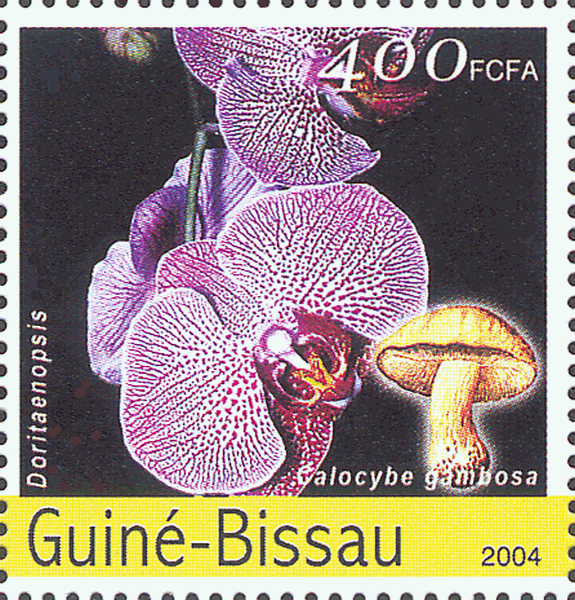 Briefmarke