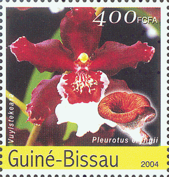 Briefmarke