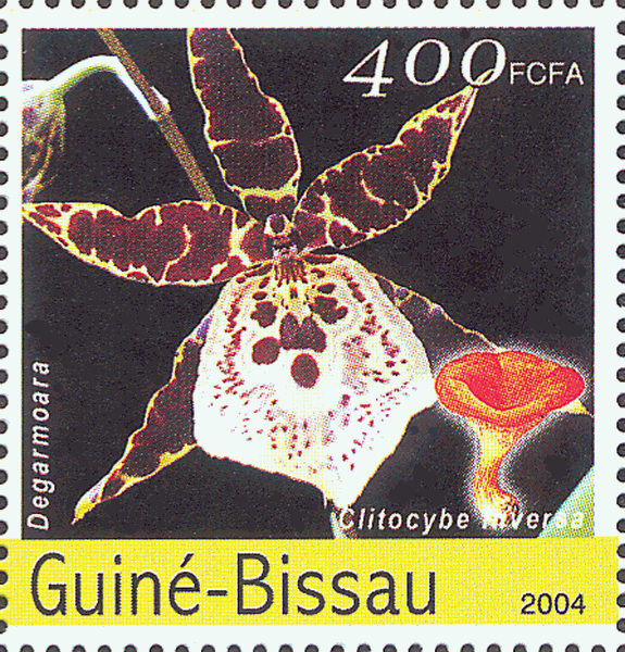 Briefmarke