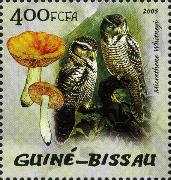 Briefmarke