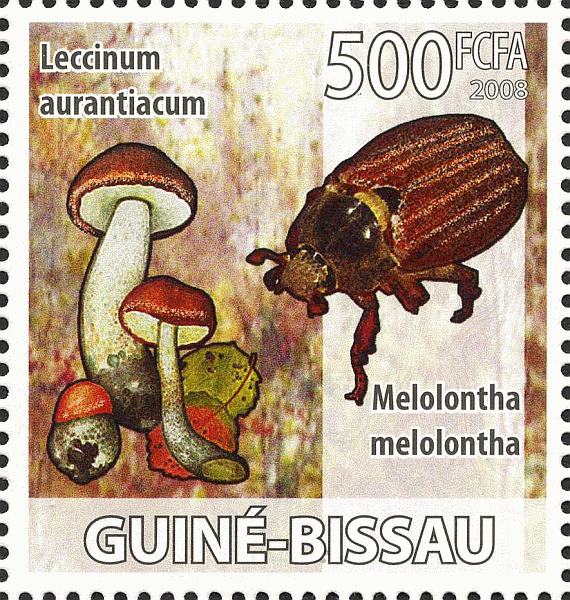 Briefmarke