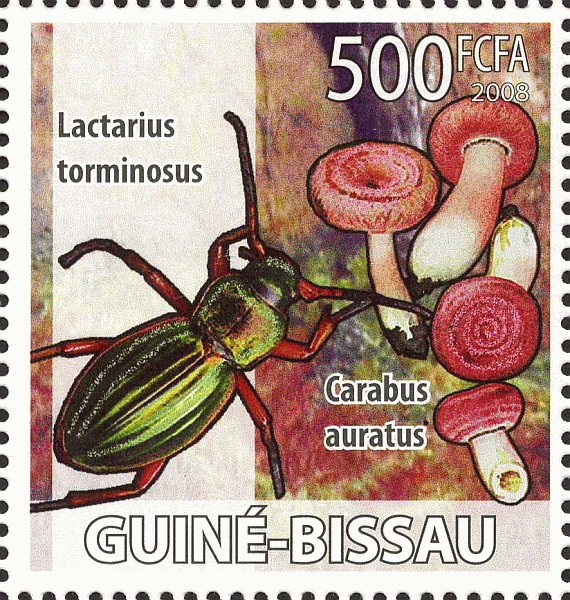 Briefmarke