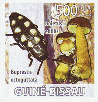 Briefmarke