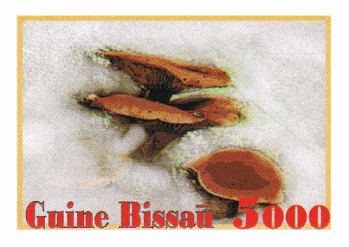 Briefmarke