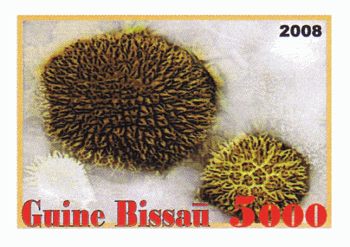 Briefmarke