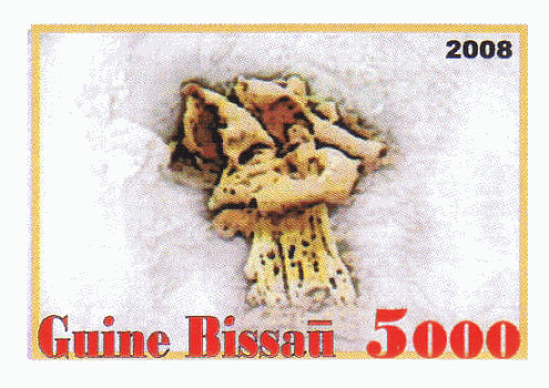 Briefmarke
