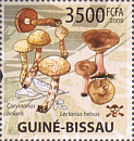 Briefmarke