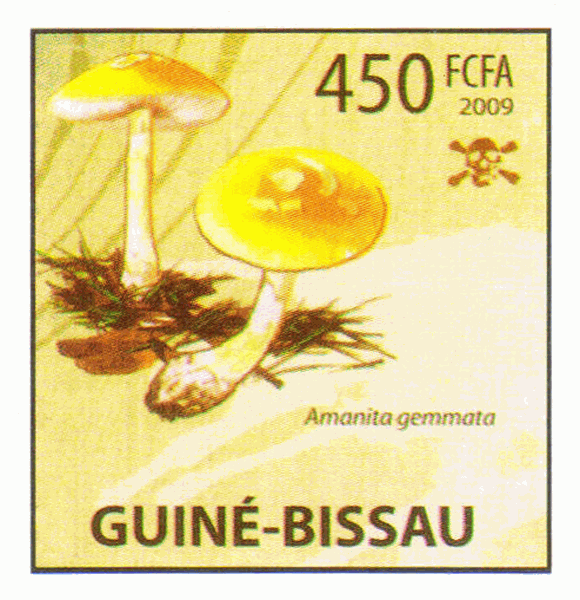 Briefmarke