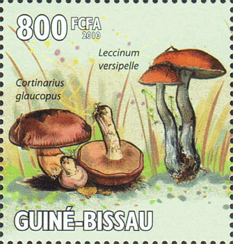 Briefmarke