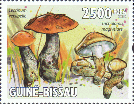 Briefmarke