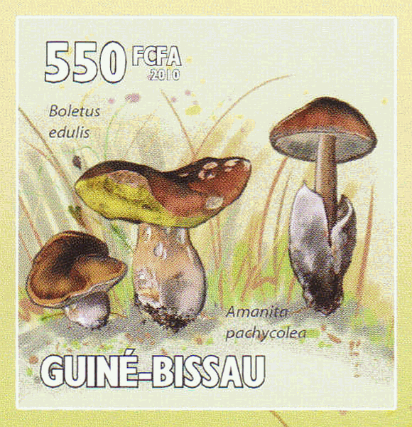 Briefmarke