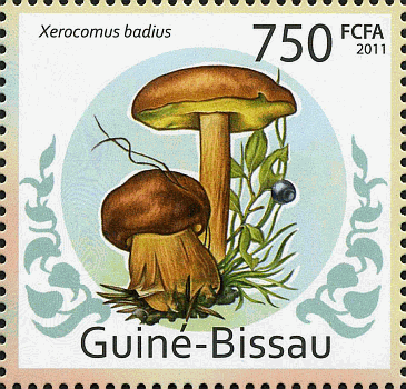 Briefmarke