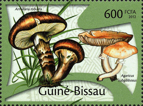 Briefmarke