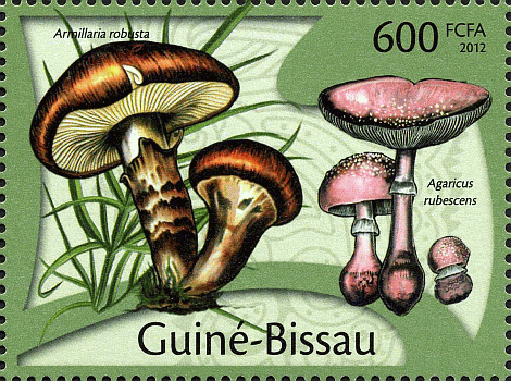 Briefmarke