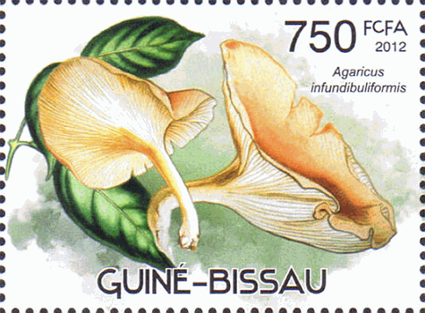 Briefmarke