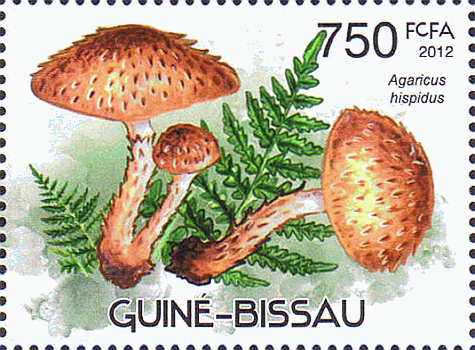 Briefmarke