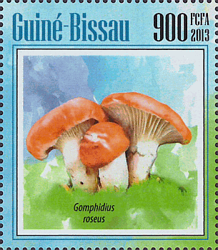 Briefmarke