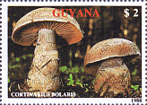Briefmarke