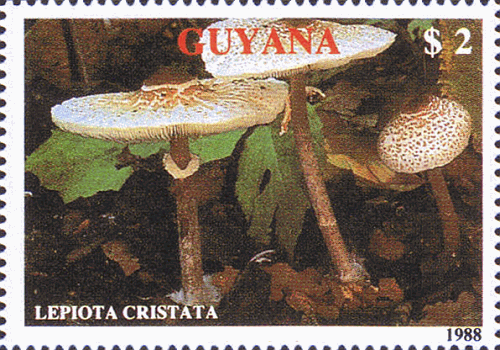 Briefmarke
