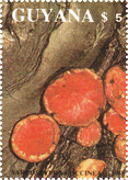 Briefmarke