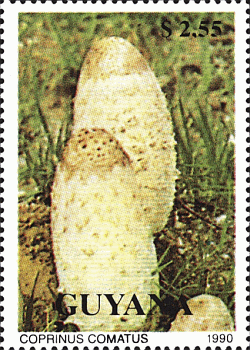Briefmarke