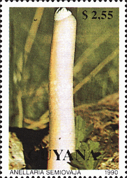 Briefmarke