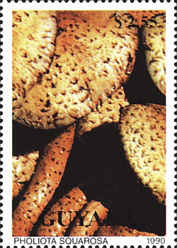 Briefmarke