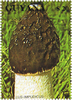 Briefmarke