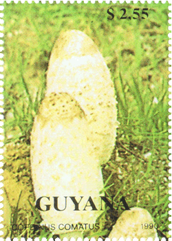 Briefmarke